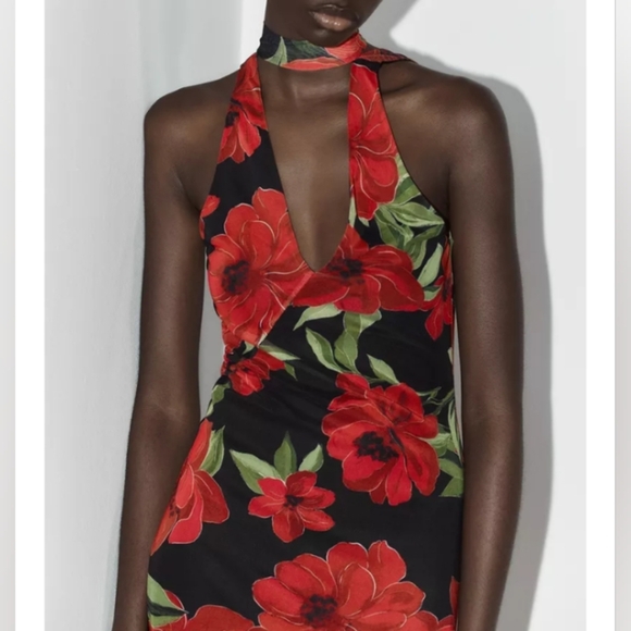 Zara Floral Print Tulle Scarf Dress - Picture 11 of 13
